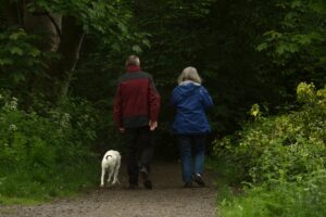 A elderly couple walking their dog in the woods after their retirement