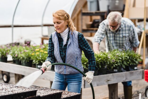 Elderly couple working in greenhouse